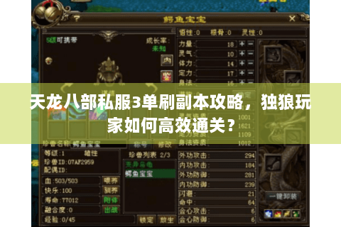 天龙八部私服3单刷副本攻略,独狼玩家如何高效通关? 天龙八部私服3单刷副本攻略,独狼玩家如何高效通关?