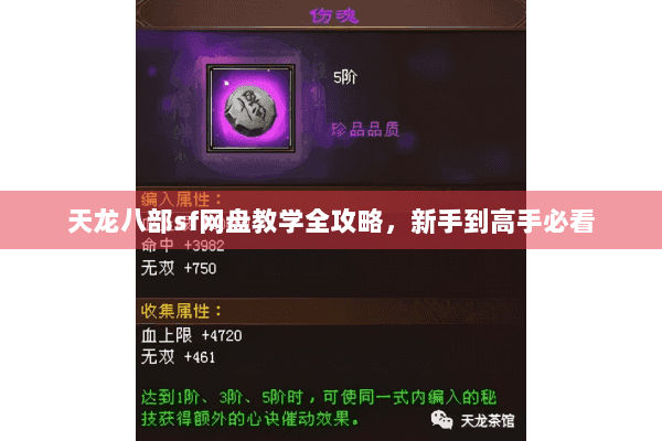 天龙八部sf网盘教学全攻略，新手到高手必看