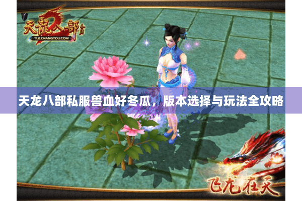 天龙八部私服兽血好冬瓜,版本选择与玩法全攻略 天龙八部私服兽血好冬瓜,版本选择与玩法全攻略