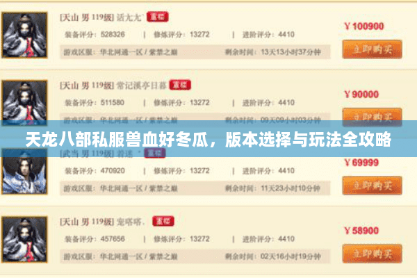 天龙八部私服兽血好冬瓜,版本选择与玩法全攻略 天龙八部私服兽血好冬瓜,版本选择与玩法全攻略
