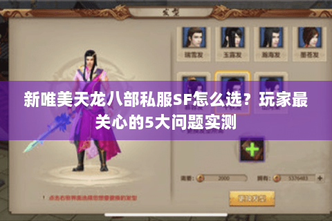 新唯美天龙八部私服SF怎么选?玩家最关心的5大问题实测 新唯美天龙八部私服SF怎么选?玩家最关心的5大问题实测