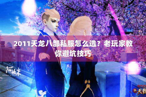 2011天龙八部私服怎么选？老玩家教你避坑技巧