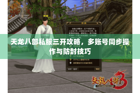 天龙八部私服三开攻略，多账号同步操作与防封技巧
