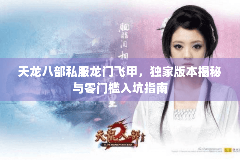 天龙八部私服龙门飞甲，独家版本揭秘与零门槛入坑指南