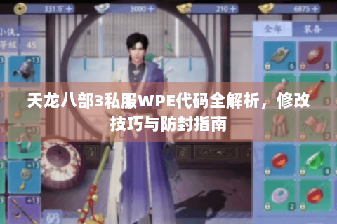 天龙八部3私服WPE代码全解析,修改技巧与防封指南 天龙八部3私服WPE代码全解析,修改技巧与防封指南