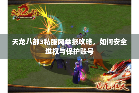 天龙八部3私服网举报攻略，如何安全维权与保护账号