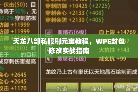 天龙八部私服刷元宝教程,WPE封包修改实战指南 天龙八部私服刷元宝教程,WPE封包修改实战指南