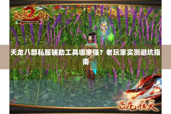天龙八部私服辅助工具哪家强？老玩家实测避坑指南