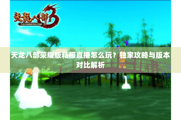 天龙八部荣耀版私服直播怎么玩？独家攻略与版本对比解析