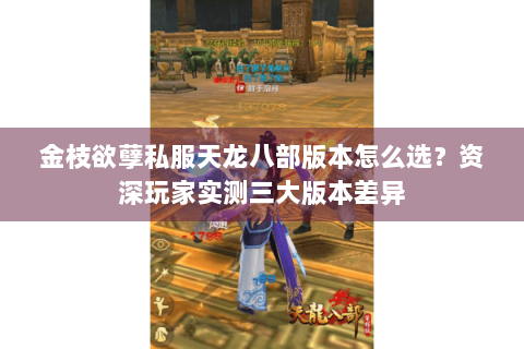 金枝欲孽私服天龙八部版本怎么选？资深玩家实测三大版本差异