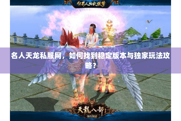 名人天龙私服网，如何找到稳定版本与独家玩法攻略？