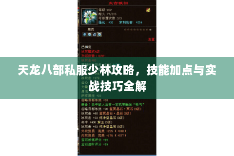 天龙八部私服少林攻略,技能加点与实战技巧全解 天龙八部私服少林攻略,技能加点与实战技巧全解