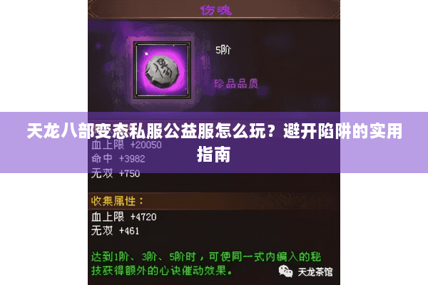 天龙八部变态私服公益服怎么玩？避开陷阱的实用指南