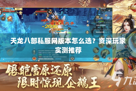 天龙八部私服网版本怎么选？资深玩家实测推荐