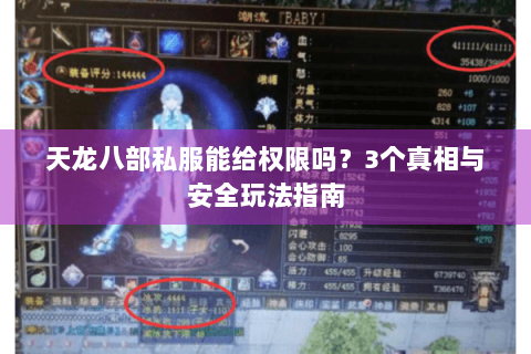 天龙八部私服能给权限吗？3个真相与安全玩法指南