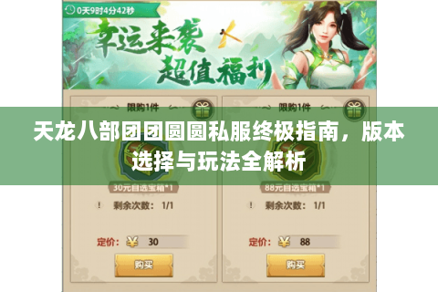 天龙八部团团圆圆私服终极指南,版本选择与玩法全解析 天龙八部团团圆圆私服终极指南,版本选择与玩法全解析