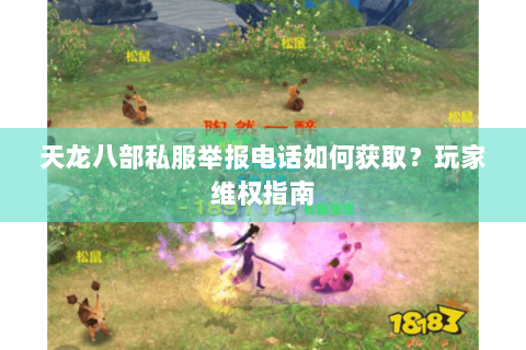 天龙八部私服举报电话如何获取?玩家维权指南 天龙八部私服举报电话如何获取?玩家维权指南