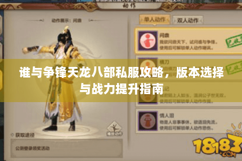 谁与争锋天龙八部私服攻略，版本选择与战力提升指南