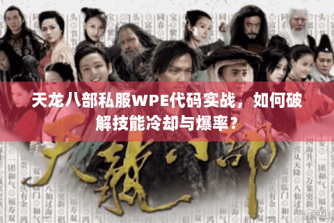 天龙八部私服WPE代码实战，如何破解技能冷却与爆率？