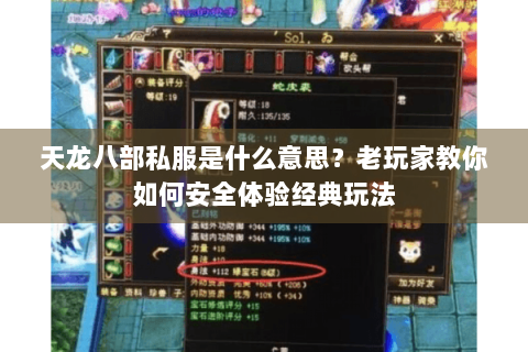 天龙八部私服是什么意思？老玩家教你如何安全体验经典玩法