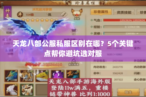 天龙八部公服私服区别在哪?5个关键点帮你避坑选对服 天龙八部公服私服区别在哪?5个关键点帮你避坑选对服