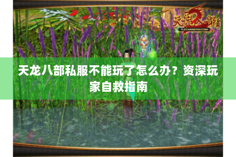天龙八部私服不能玩了怎么办?资深玩家自救指南 天龙八部私服不能玩了怎么办?资深玩家自救指南