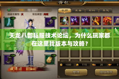 天龙八部私服技术论坛，为什么玩家都在这里找版本与攻略？