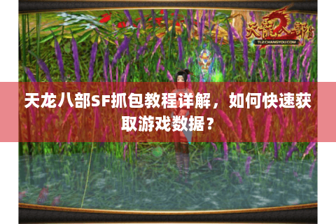 天龙八部SF抓包教程详解,如何快速获取游戏数据? 天龙八部SF抓包教程详解,如何快速获取游戏数据?