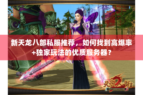 新天龙八部私服推荐，如何找到高爆率+独家玩法的优质服务器？