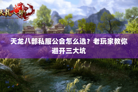 天龙八部私服公会怎么选?老玩家教你避开三大坑 天龙八部私服公会怎么选?老玩家教你避开三大坑