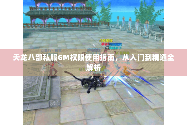 天龙八部私服GM权限使用指南，从入门到精通全解析