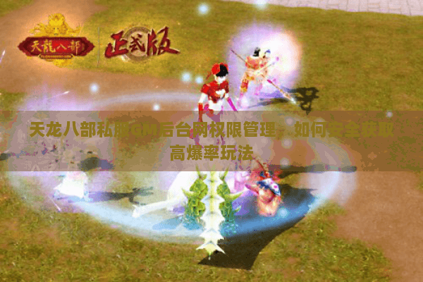 天龙八部私服GM后台网权限管理，如何安全获取高爆率玩法