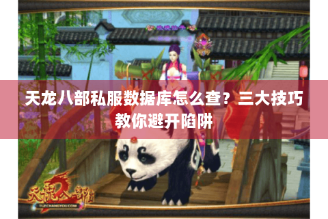 天龙八部私服数据库怎么查？三大技巧教你避开陷阱