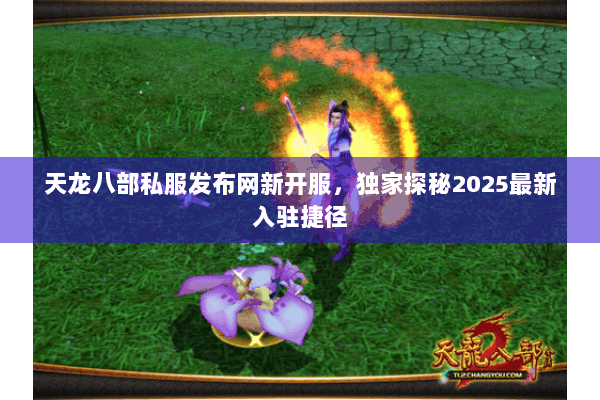 天龙八部私服发布网新开服，独家探秘2025最新入驻捷径