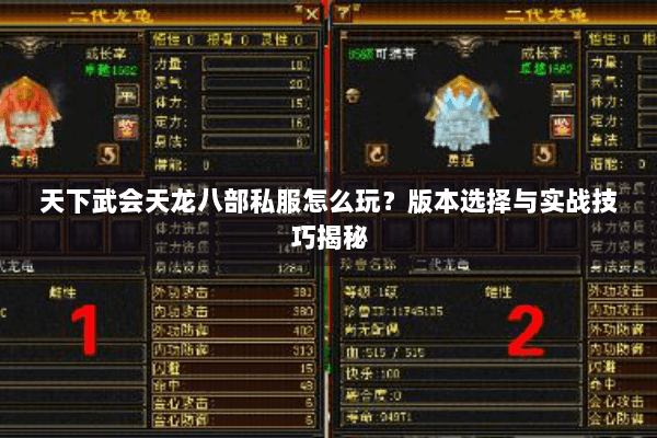 天下武会天龙八部私服怎么玩？版本选择与实战技巧揭秘