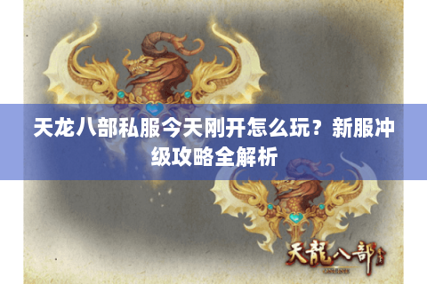 天龙八部私服今天刚开怎么玩？新服冲级攻略全解析