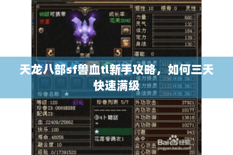 天龙八部sf兽血tl新手攻略,如何三天快速满级 天龙八部sf兽血tl新手攻略,如何三天快速满级