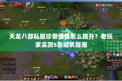 天龙八部私服珍兽悟性怎么提升?老玩家实测5条避坑指南 天龙八部私服珍兽悟性怎么提升?老玩家实测5条避坑指南