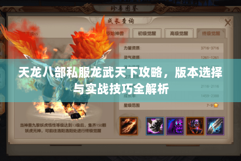 天龙八部私服龙武天下攻略,版本选择与实战技巧全解析 天龙八部私服龙武天下攻略,版本选择与实战技巧全解析