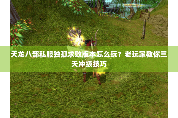 天龙八部私服独孤求败版本怎么玩？老玩家教你三天冲级技巧