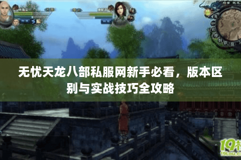 无忧天龙八部私服网新手必看，版本区别与实战技巧全攻略