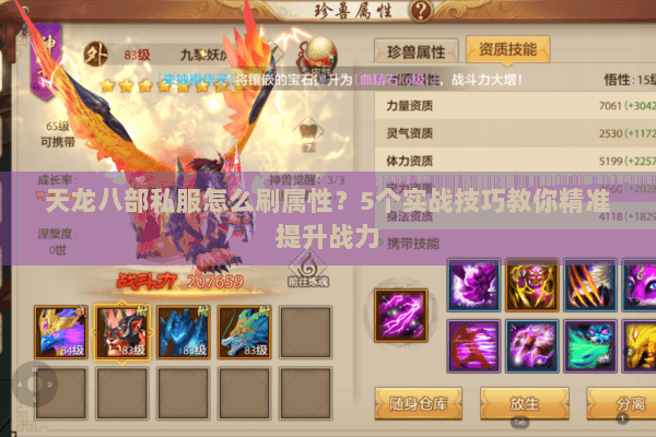 天龙八部私服怎么刷属性？5个实战技巧教你精准提升战力
