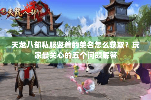 天龙八部私服竖着的菜名怎么获取？玩家最关心的五个问题解答