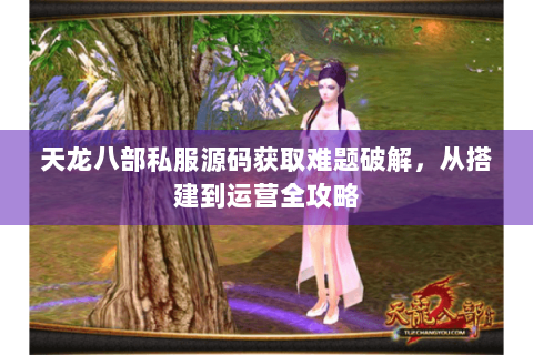 天龙八部私服源码获取难题破解，从搭建到运营全攻略