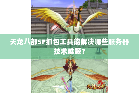 天龙八部SF抓包工具能解决哪些服务器技术难题？