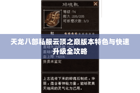 天龙八部私服云顶之巅版本特色与快速升级全攻略