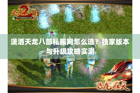 潇洒天龙八部私服网怎么选？独家版本与升级攻略实测