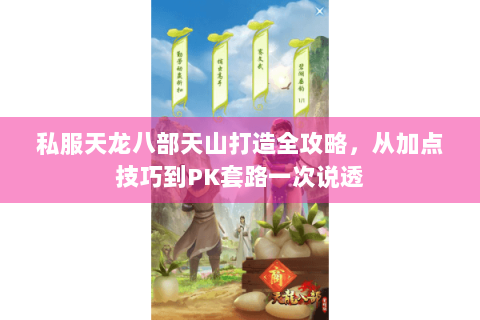 私服天龙八部天山打造全攻略,从加点技巧到PK套路一次说透 私服天龙八部天山打造全攻略,从加点技巧到PK套路一次说透