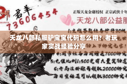 天龙八部私服驴宝宝代码怎么用？老玩家实战经验分享