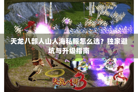 天龙八部人山人海私服怎么选？独家避坑与升级指南